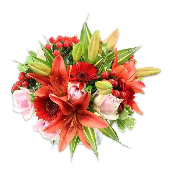 Against a pristine white backdrop, this opulent bouquet displays a harmonious trio of warm tones: bold orange-red Asiatic lilies, vivid crimson Gerberas, and soft blush-pink roses. The lilies command attention with broad, slightly recurved petals and scattered darker speckles that add painterly detail; some blooms are wide open showing their stamens, while others remain tightly knotted buds, suggesting staged movement and future bloom. The Gerbera daisies introduce sculptural rhythm with dozens of slender petals radiating from a darker center, creating a strong visual anchor that balances the roses' gentle spirals. The roses range from compact, velvety buds to generous, layered blossoms whose delicate petals form soft shadows and invite touch. Tucked throughout are clusters of bright red hypericum berries, shiny and round, that bring a jewel-like sparkle and textural contrast against the softer floral forms. A lavish assortment of greenery - including broad glossy leaves, lance-shaped lily foliage, and a few variegated sprigs - frames and supports the flowers, producing depth and a full, rounded silhouette that reads as meticulously arranged. The lighting is clear and even, emphasizing the bouquet's saturated hues and the tactile differences between papery lily petals, silky rose folds, and waxy berries. As a florist's creation fit for anniversaries, celebratory events, or as a thoughtful gift for someone in Dartford near the Priory Shopping area or Joyden's Wood, this arrangement radiates warmth, celebration, and refined craftsmanship while hinting at a subtle floral fragrance that draws you in.